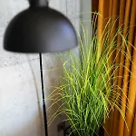 Appartement Doel *