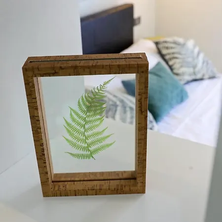 Apartamento Doel